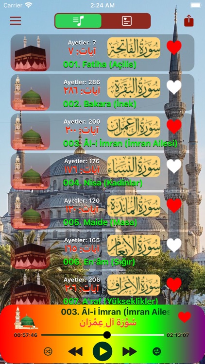 Quran In Turkish MP3 and PDF