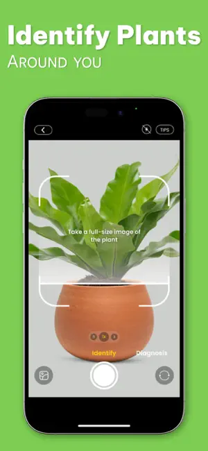 AI For Plant: Plant Identifier screenshot 1