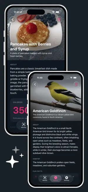 Identify This: AI Identifier screenshot 3