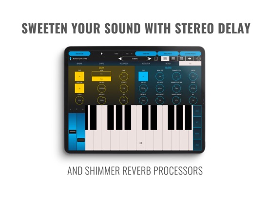 BLEASS SampleWiz 2 iPad screenshot 7 - Music app