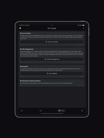 API Tester(Pro) iPad screenshot