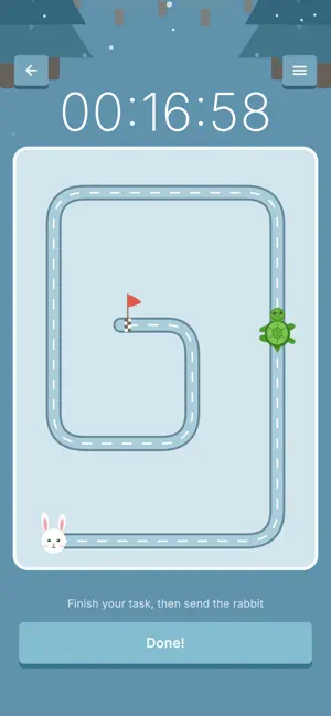 Turtle Race Timer screenshot 4