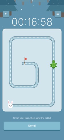 Turtle Race Timer Screenshot 4 of 6