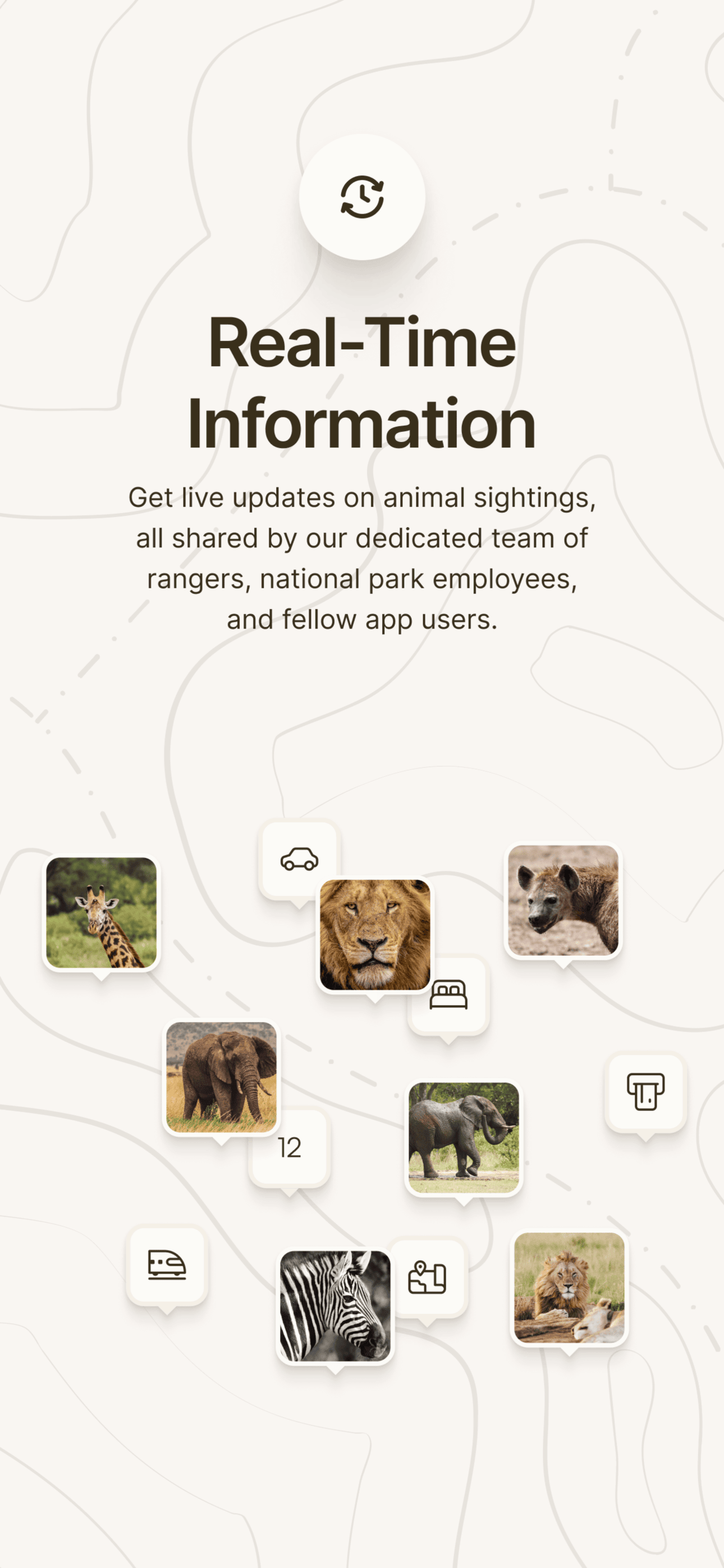 Kruger animal tracker