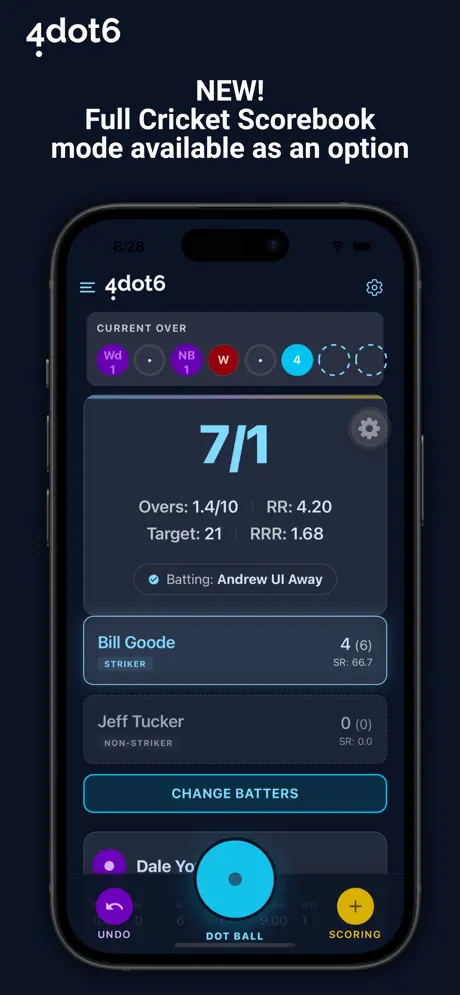 Cricket Umpire Ball Counter screenshot 2