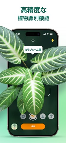 Plantum - 植物や花の名前を調べようのおすすめ画像1