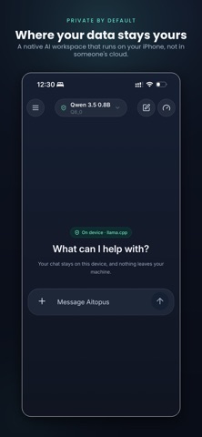 Aitopus: Private AI Assistant iPhone screenshot