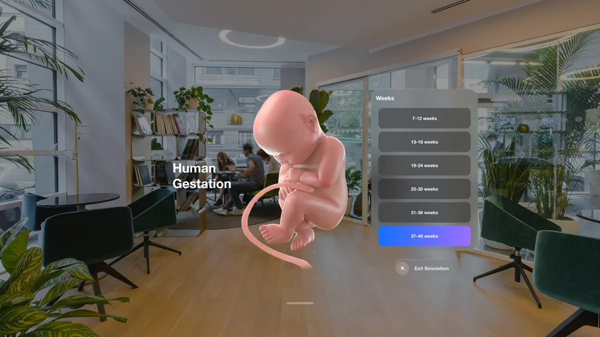 Inviewer screenshot 1