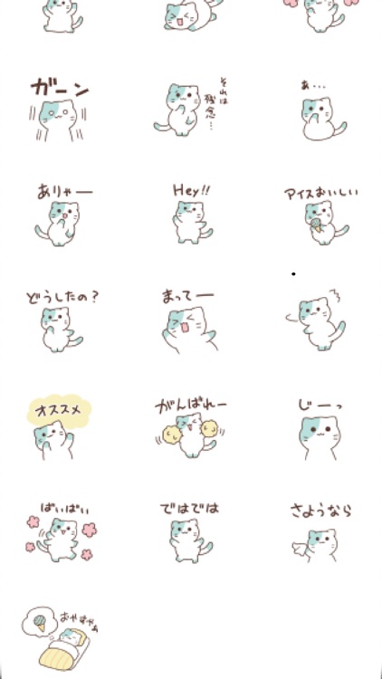 choco mint nyanko flowers