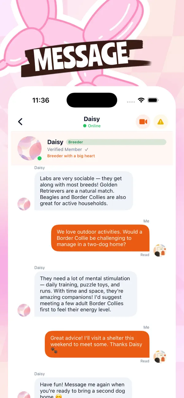 #4. Kopet (iOS) 来自: Hung Nguyen Yen