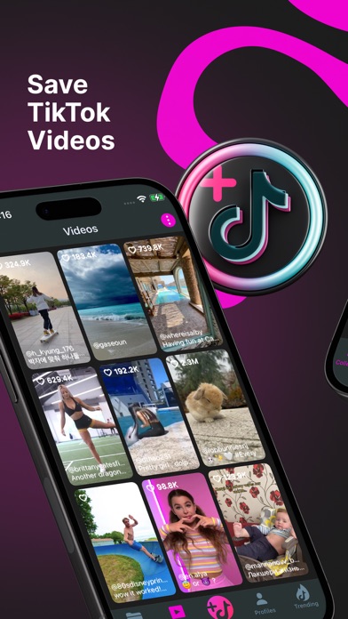 TikSaver - Save TikTok Video Screenshot