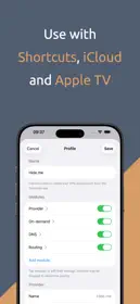 Passepartout, VPN Client 3