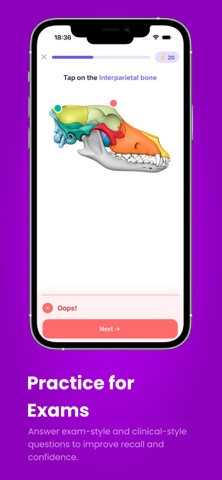 Bivia: Veterinary Anatomy Screenshot 4 of 6
