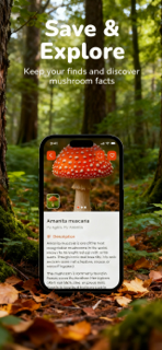 SnapMushroom,Plant Scanner screenshot 2