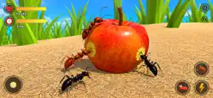 Ant Colony Life Simulator screenshot 2