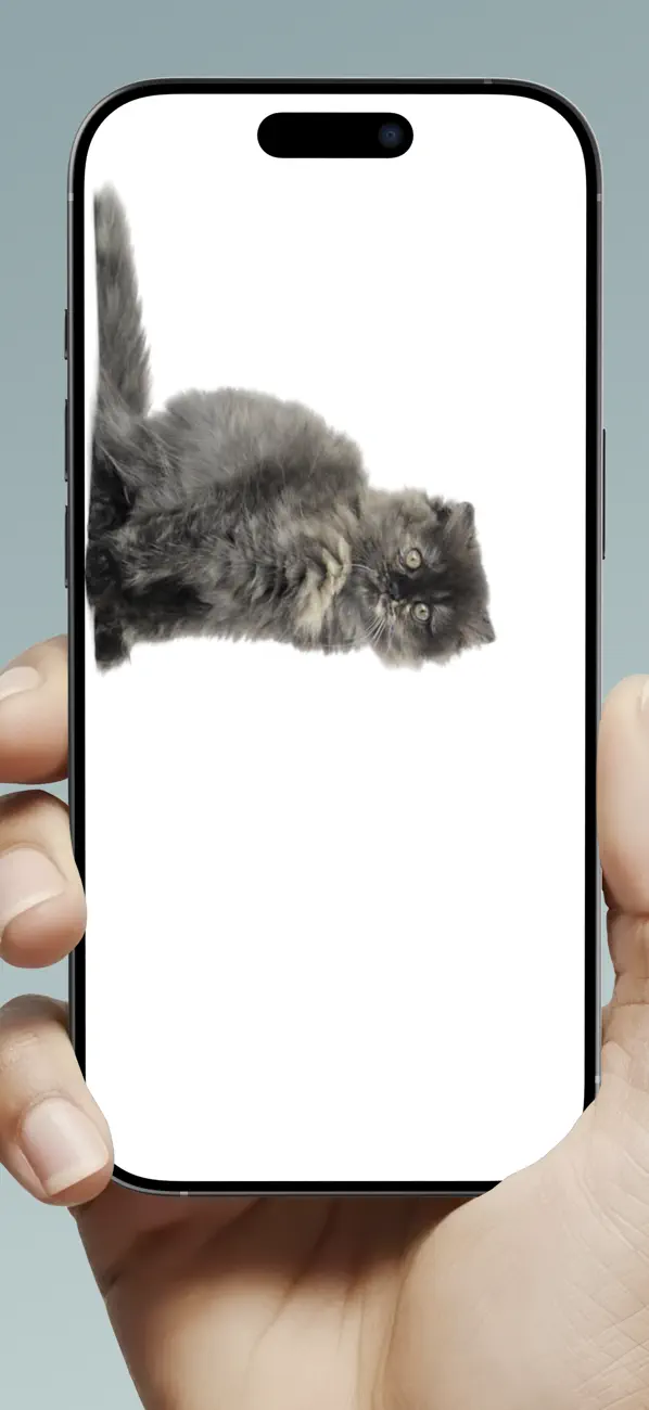 Screenshot #2 pour Souris Sur l’Ecran - Blague