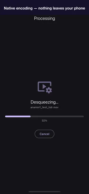 Anamorf - Desqueeze Video screenshot 2