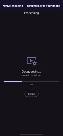Anamorf - Desqueeze Video screenshot