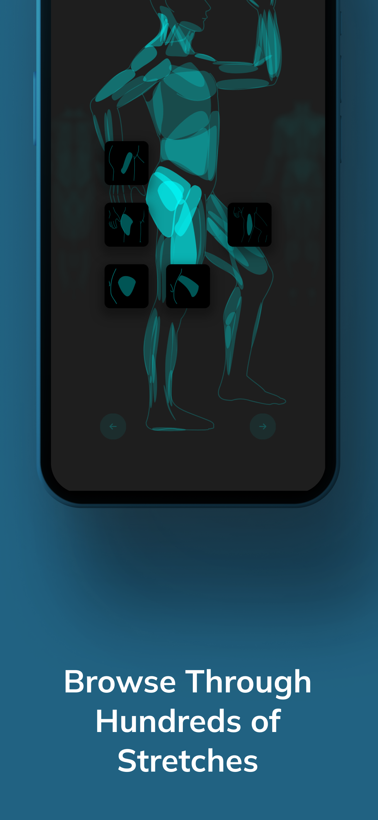 StretchCoach: Pain Relief