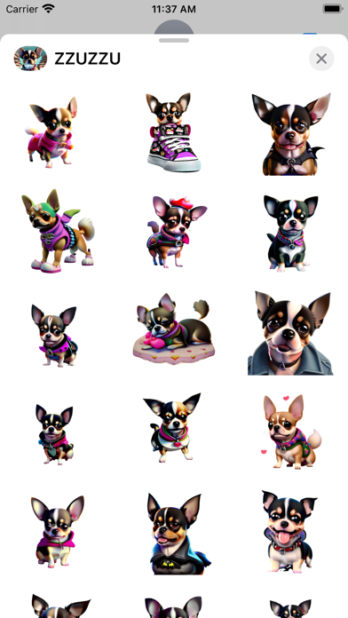 Screenshot #3 pour Chihuahua ZZUZZU est mignon