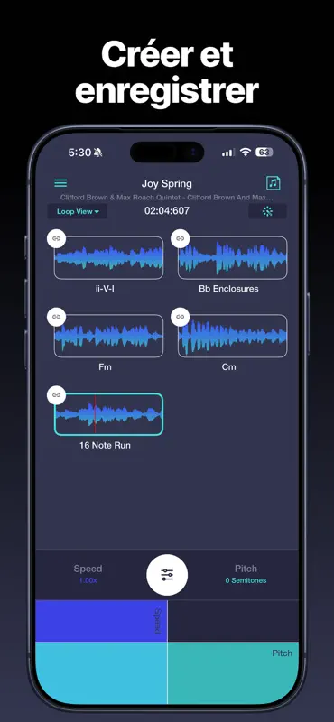 Transcribe+ : Ralentir Musique screenshot 4 of 8