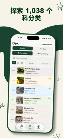 RealDex screenshot