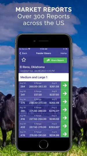 Cattle Market Mobile screenshot 2