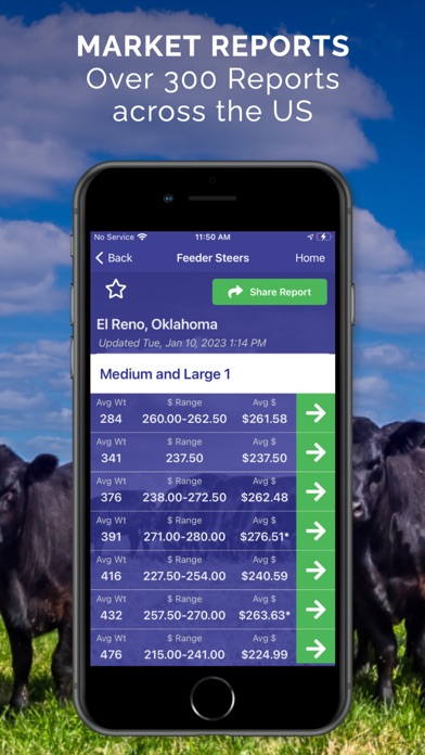 Cattle Market Mobile iPhone screenshot 2 - Business app