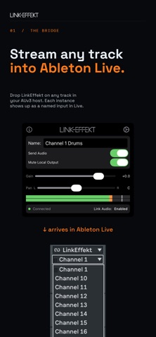 LinkEffekt Screenshot 1 of 5