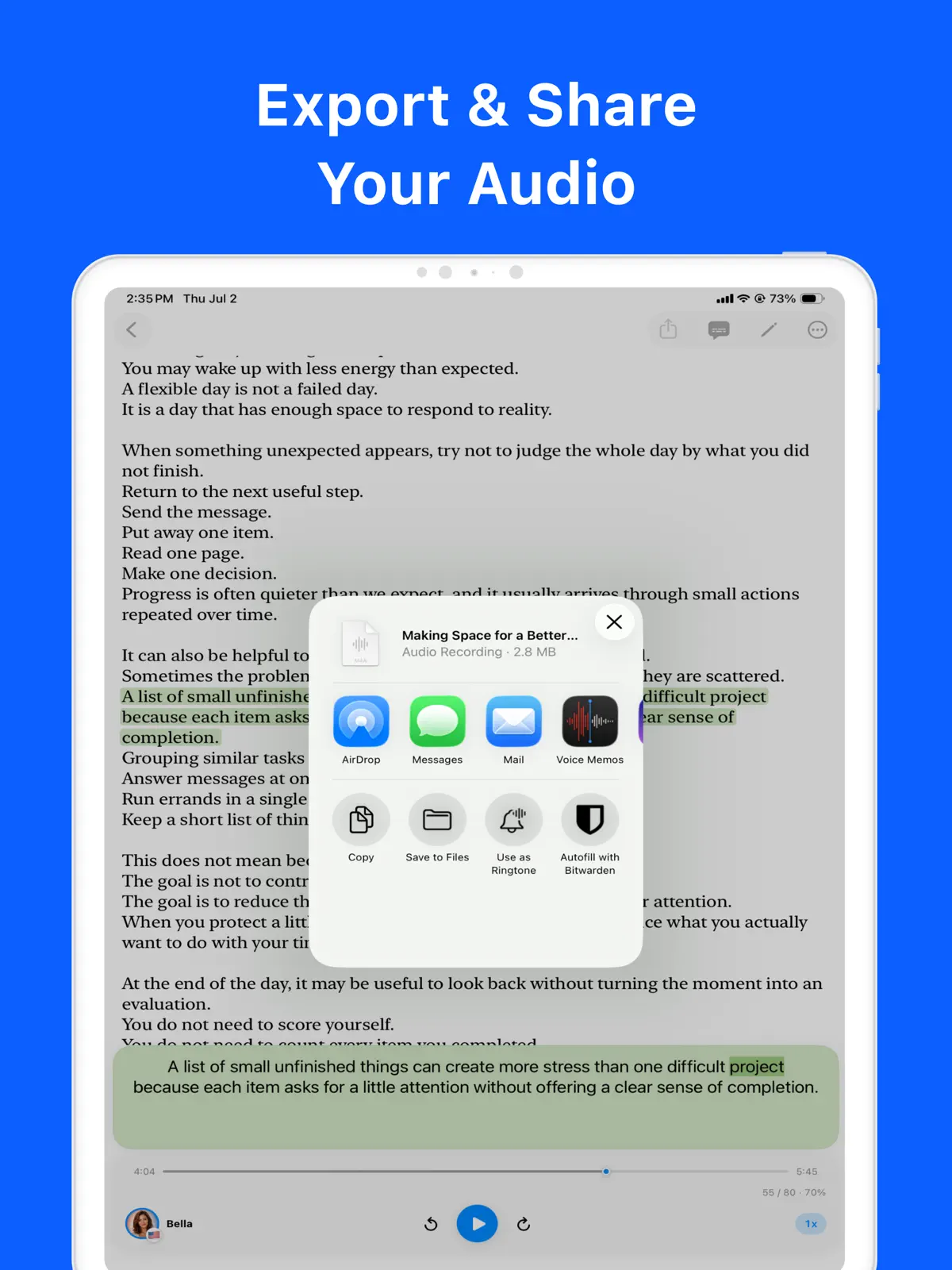Local TTS - AI Voice Reader iPad screenshot 4