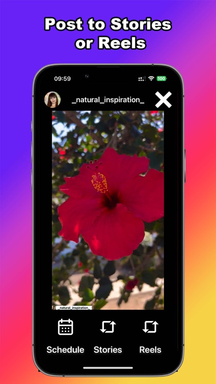 Repost: Reshare Reels, Stories