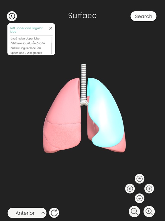 Screenshot #6 pour My Lung PT SWU