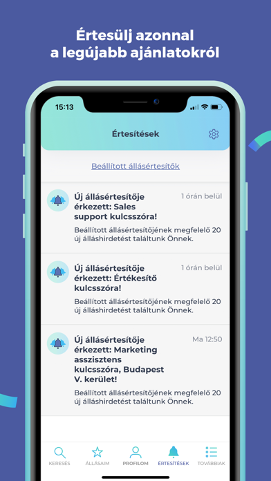 Profession.hu: Fast Job Search Screenshot