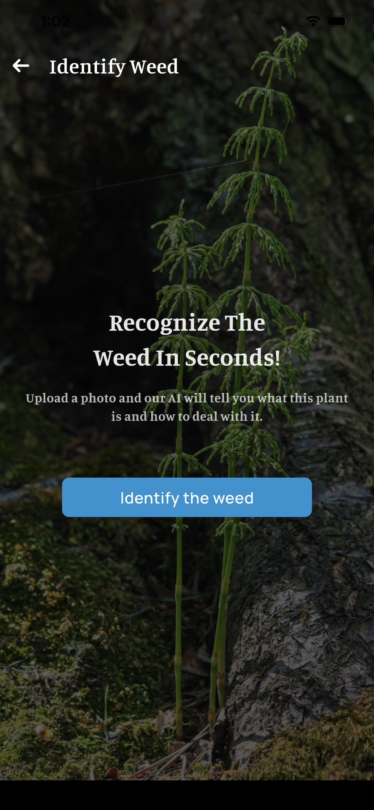 LushLawn screenshot 4