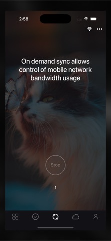 Sync with Google Drive screenshot