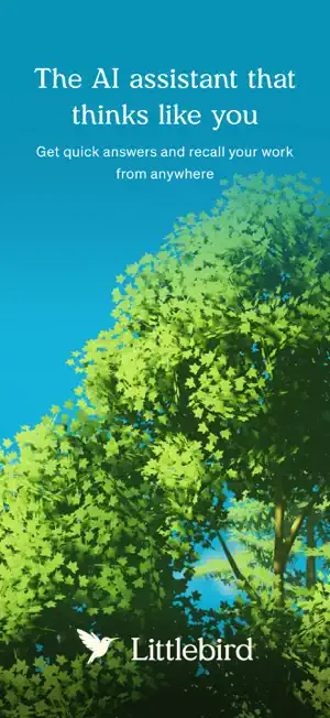 Littlebird AI screenshot 1
