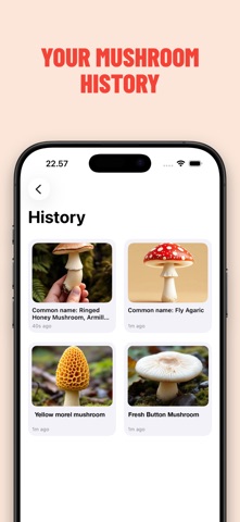 Mushroom Identifier: Smart ID screenshot