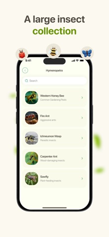 Bug Identifier: Insect Scanner Screenshot 4 of 4