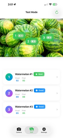 Watermelon Picker 1 Screenshot 9 of 9