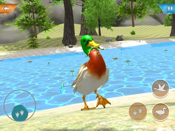 Duck Game Bird Simulator iPad screenshot