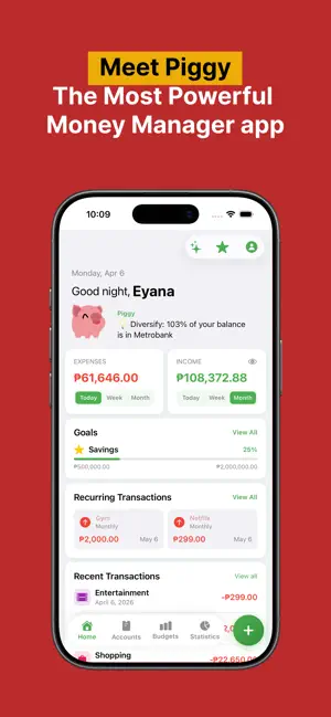 Piggy Money Manager screenshot 1