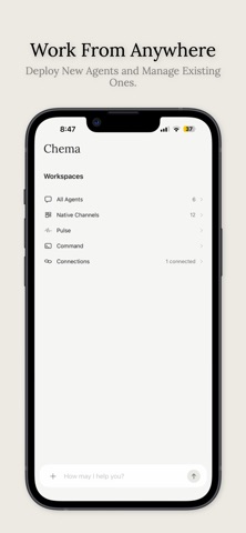 Chema Intelligence screenshot
