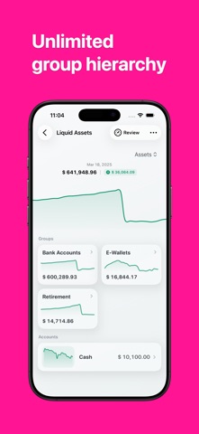 Balx - Assets & Liabilities screenshot