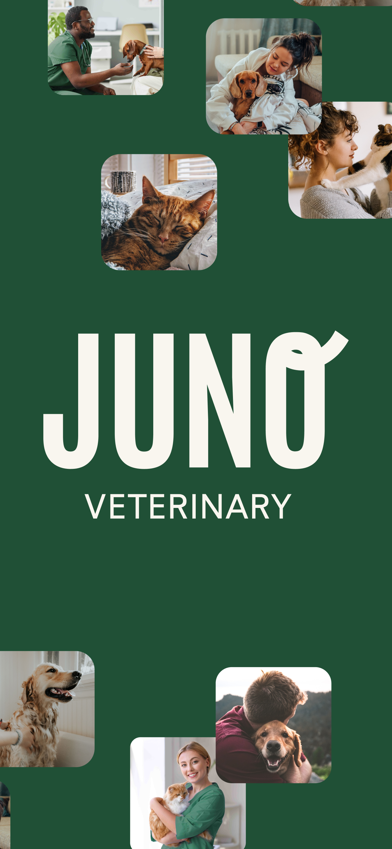 Juno Vet