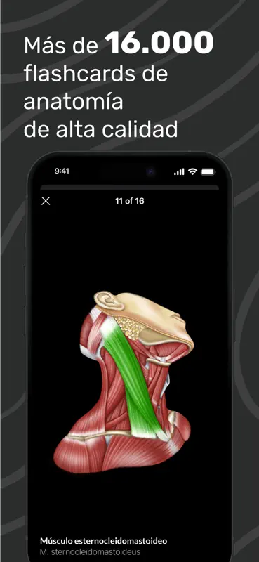 Easy Anatomy 3D con Voice AI screenshot 4 of 9