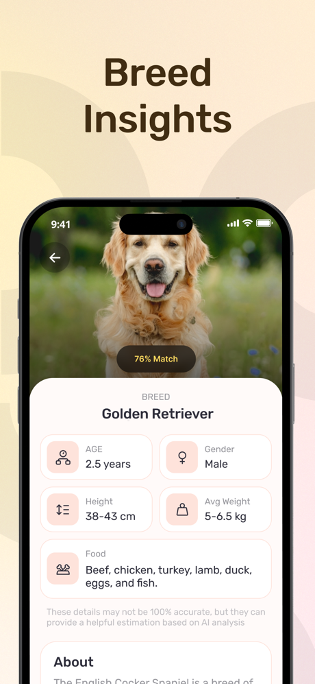 Botify AI Tarayıcı Tanımlayıcı screenshot 4