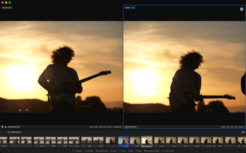 Palomino screenshot 3
