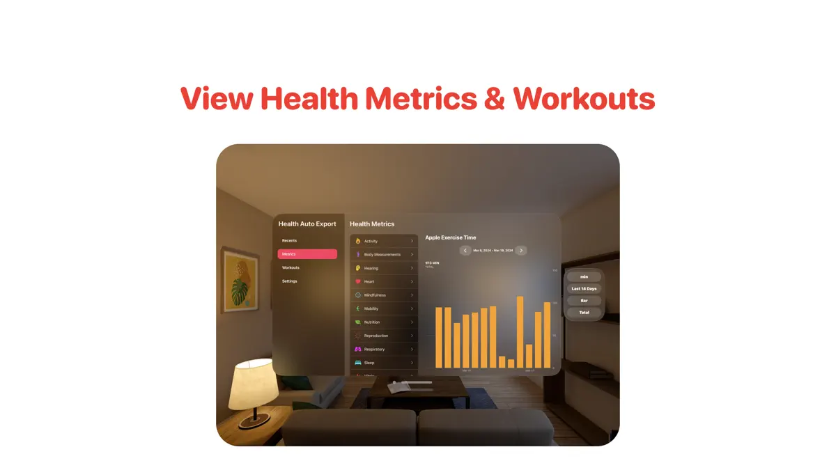 Health Auto Export - JSON+CSV screenshot 1