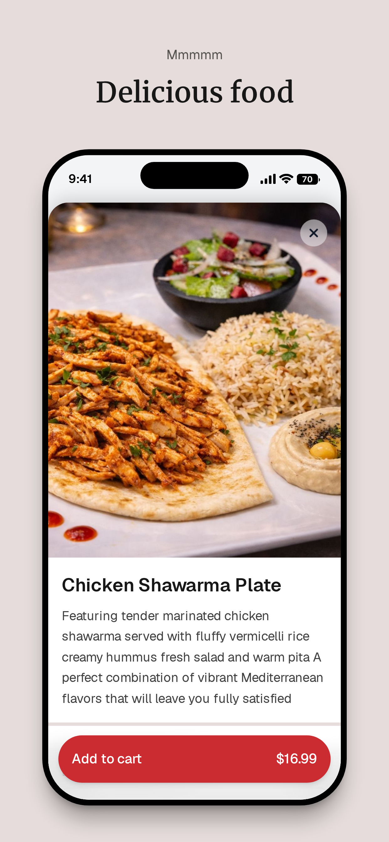 Falafel Gourmet screenshot 5