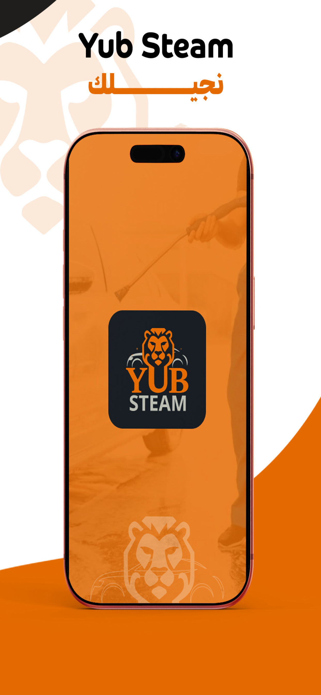 YubSteam screenshot 3